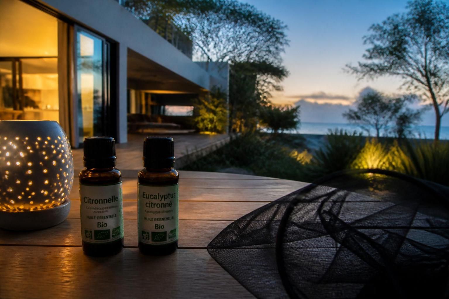 Huiles essentielles répulsives : les meilleures pour éloigner les moustiques et conseils d'utilisation 2 découvrez les meilleures huiles essentielles répulsives pour éloigner efficacement les moustiques, accompagnées de conseils pratiques pour une utilisation optimale et naturelle.